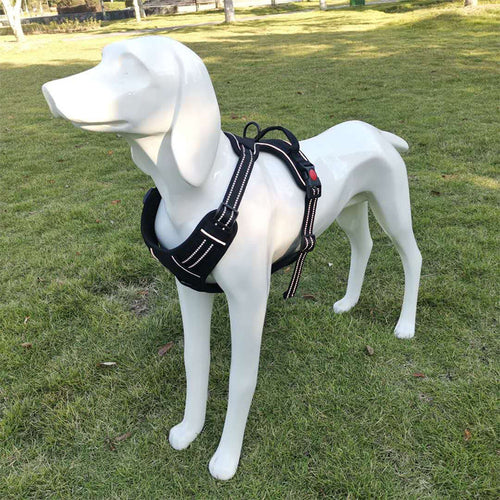 Chest Harness Leash Vest for Dogs