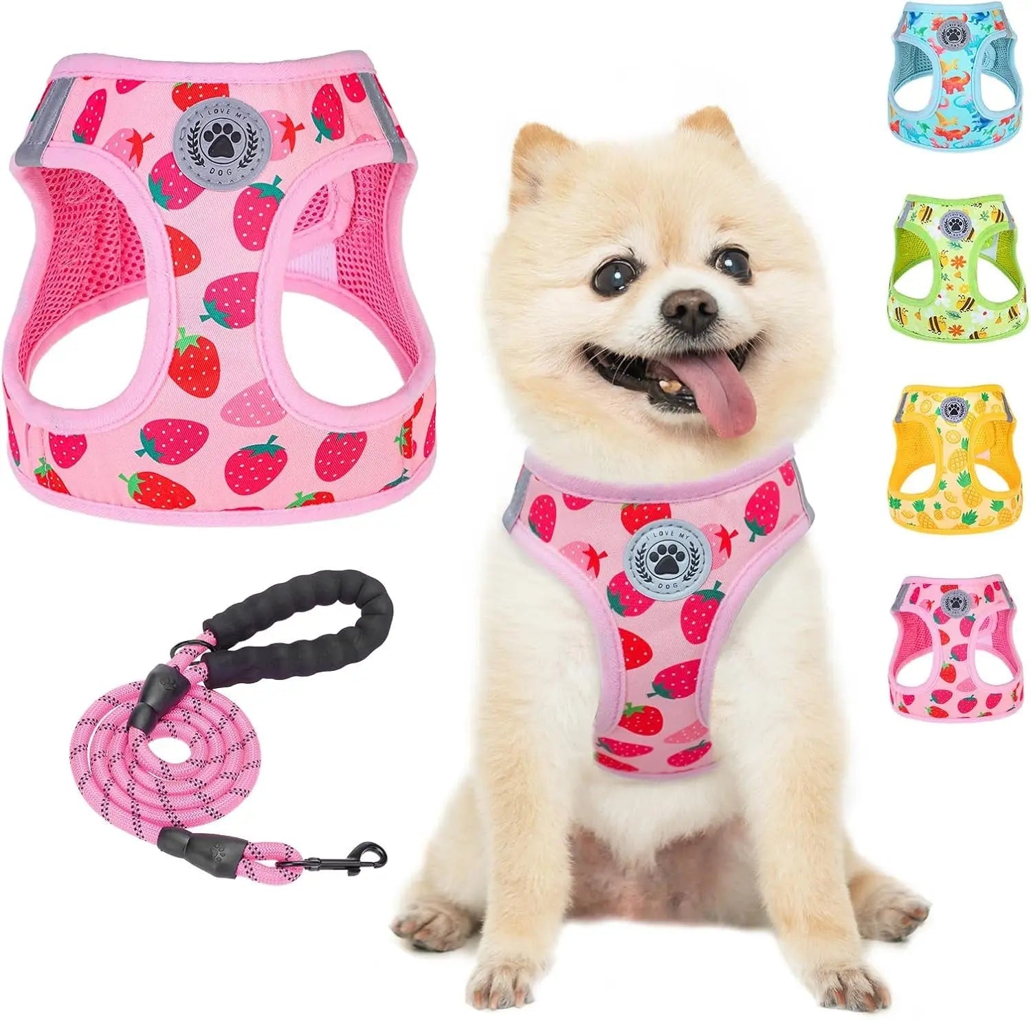 Step-In Dog Harness & Leash Set — Reflective No-Pull, XS–XL