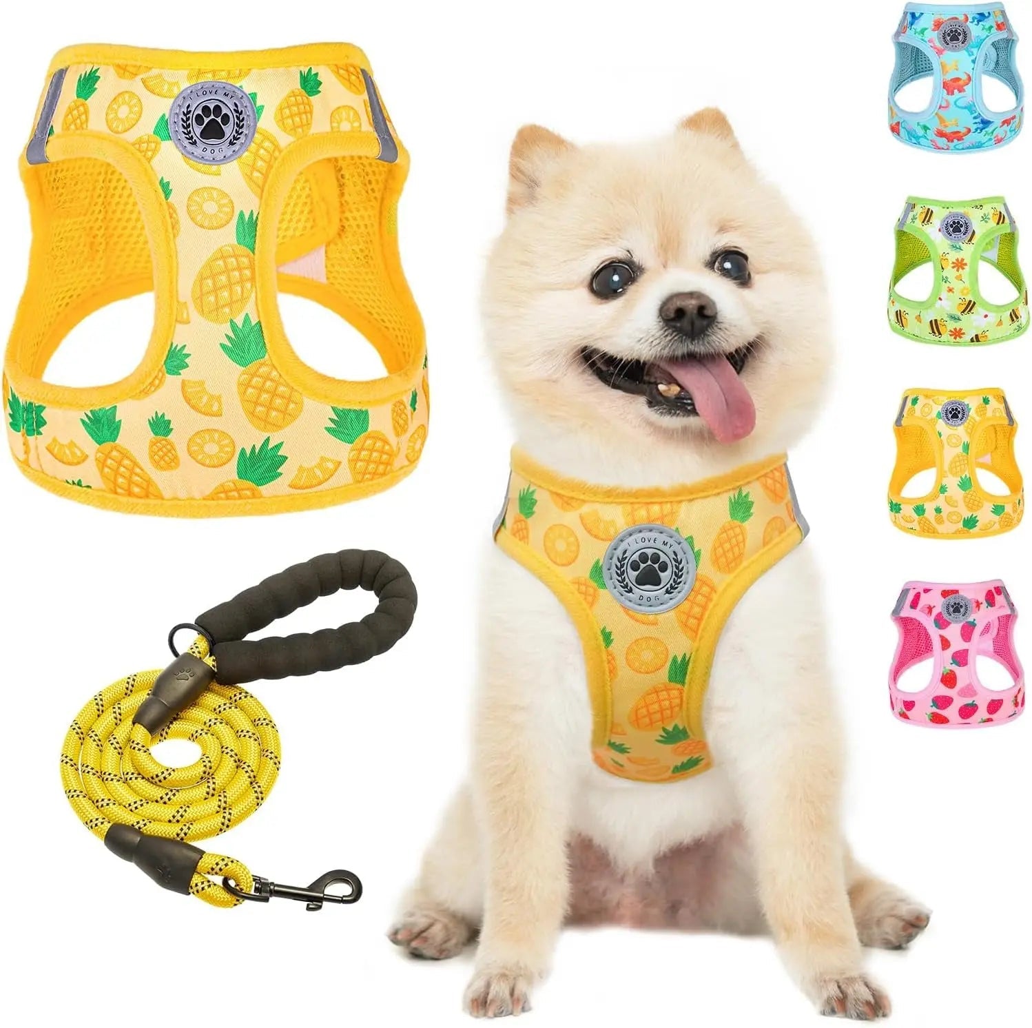 Step-In Dog Harness & Leash Set — Reflective No-Pull, XS–XL