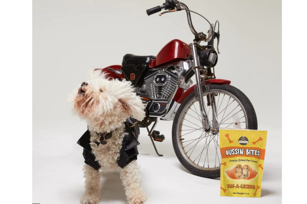 Single Ingredient, High Value Freeze-Dried Training Treats for Dogs & Cats - Sweet Potato